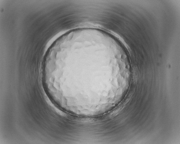 X0000081601387200702051318