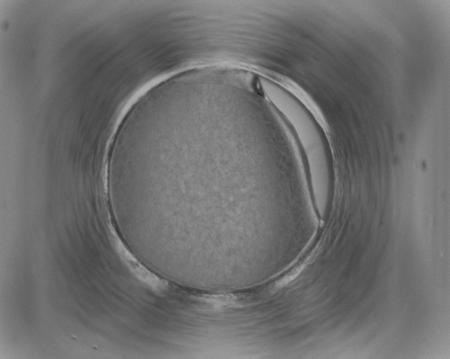 X0000081601388200702051318