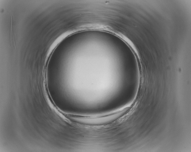 X0000081601389200702051318