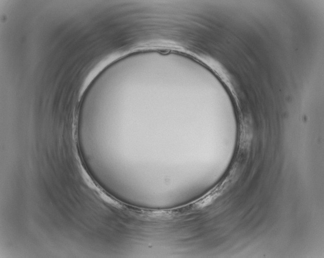 X0000081601390200702051318