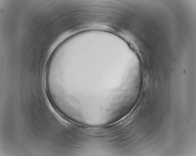 X0000081601391200702051318