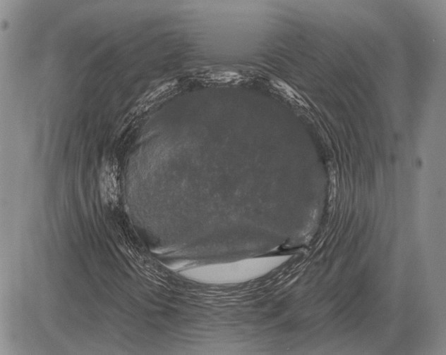 X0000081601394200702051317