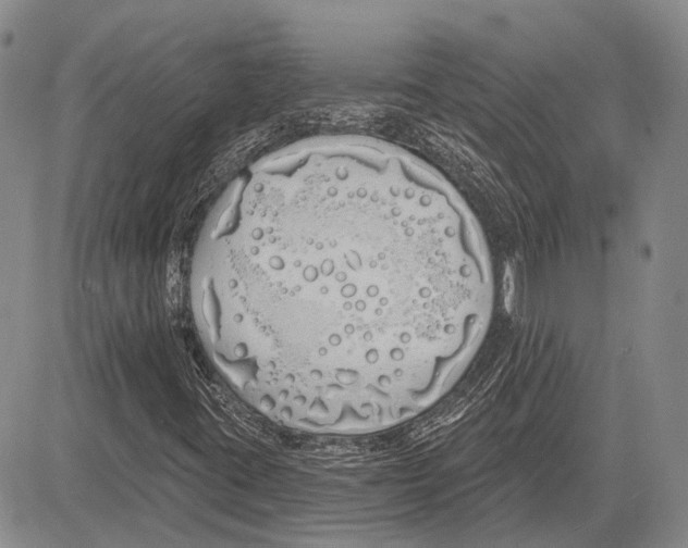 X0000081601395200702051317