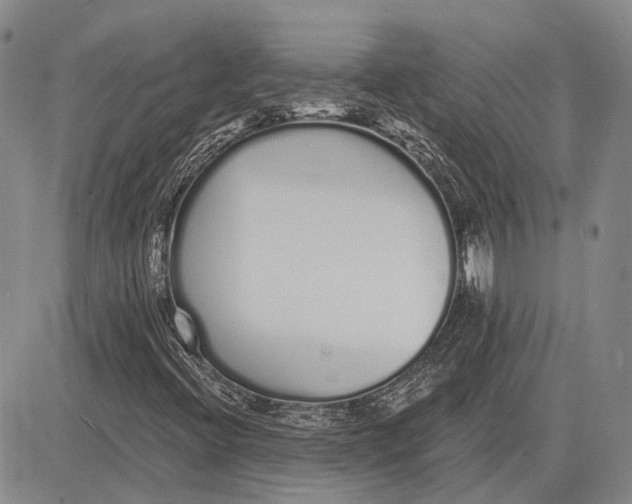 X0000081601396200702051317