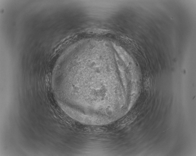 X0000081601397200702051317