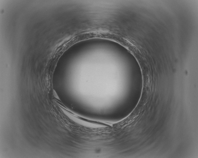 X0000081601398200702051317