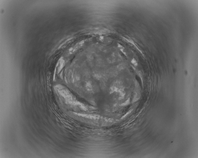 X0000081601399200702051317