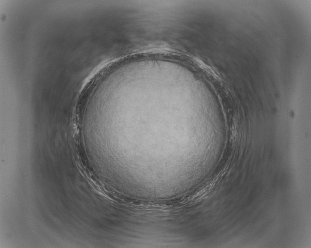 X0000081601400200702051317