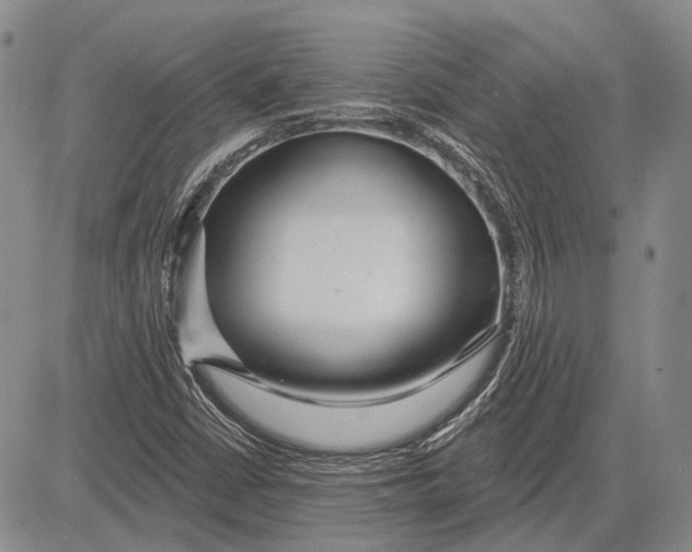 X0000081601402200702051317