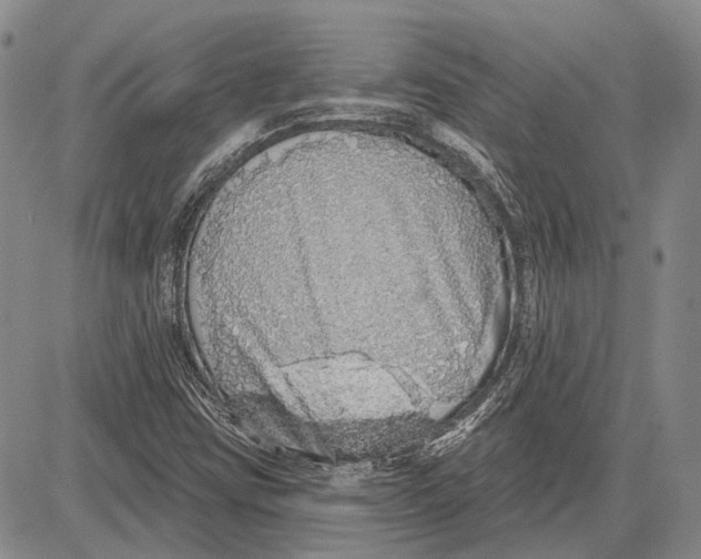 X0000081601403200702051317