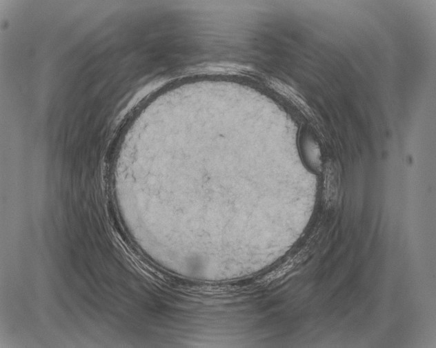 X0000081601404200702051317