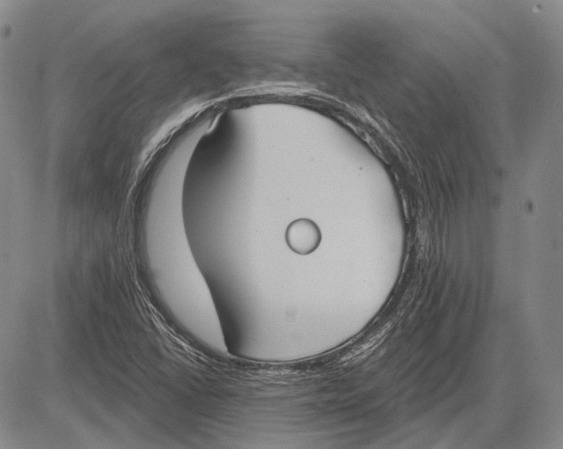 X0000081601406200702051318