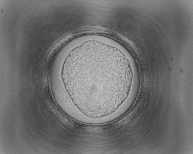 X0000081601407200702051318