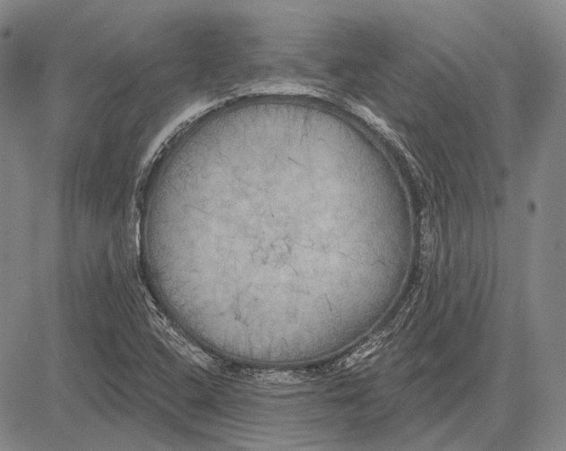 X0000081601408200702051318