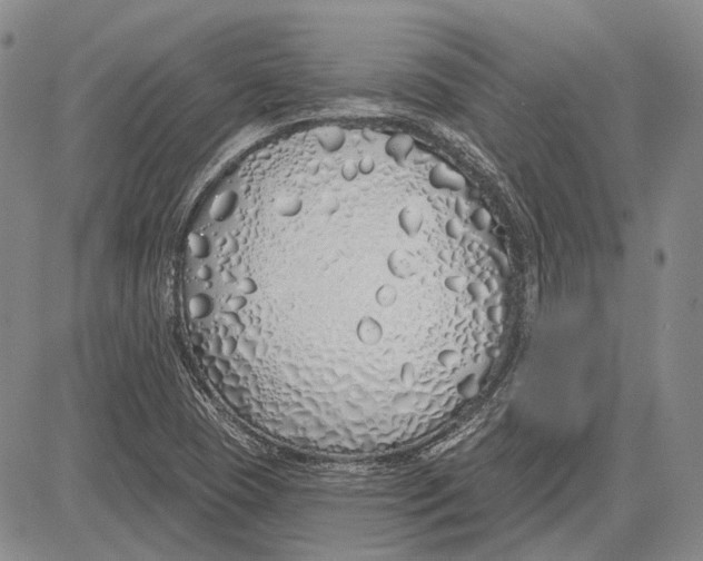 X0000081601409200702051318