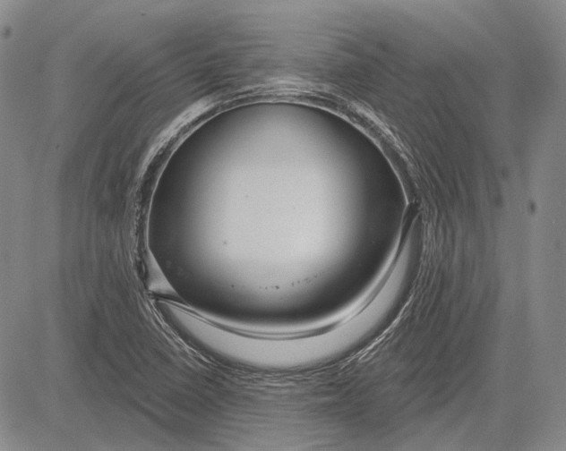 X0000081601410200702051318