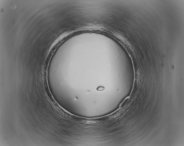 X0000081601412200702051318