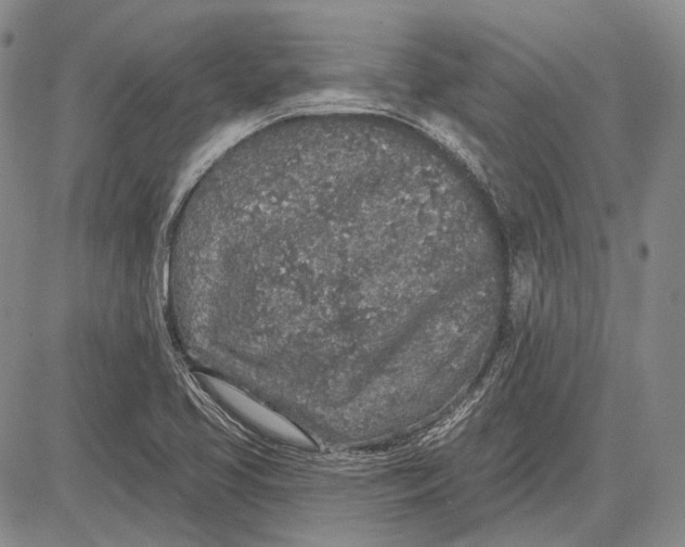 X0000081601413200702051318