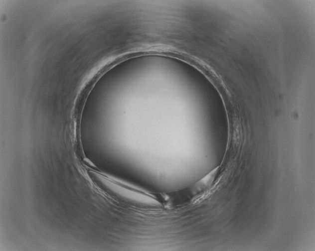 X0000081601414200702051318