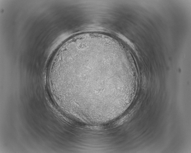 X0000081601415200702051318