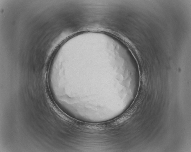 X0000081601416200702051318