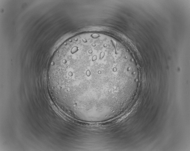 X0000081601417200702051318