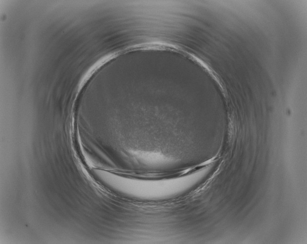 X0000081601418200702051318