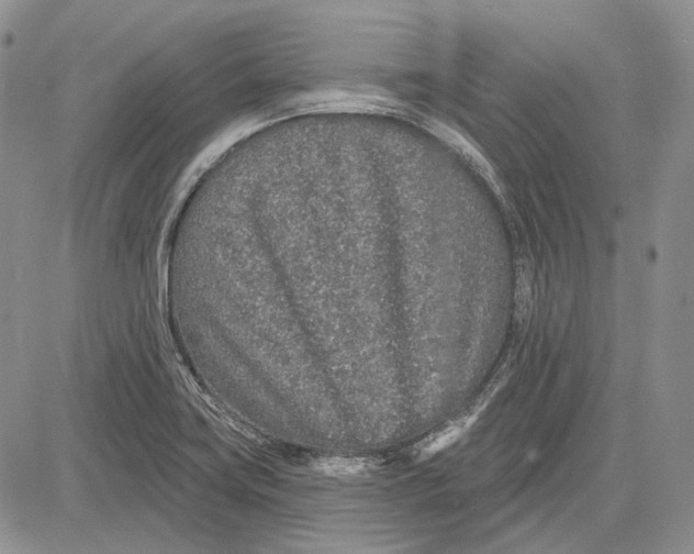 X0000081601419200702051318