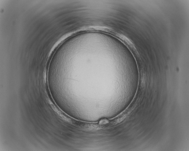 X0000081601420200702051318