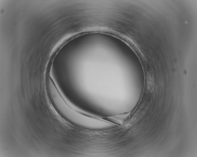 X0000081601422200702051318