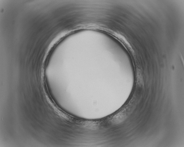 X0000081601424200702051318