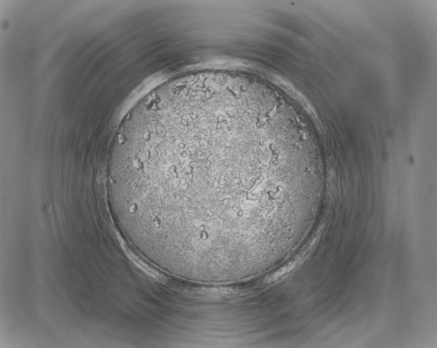 X0000081601425200702051318