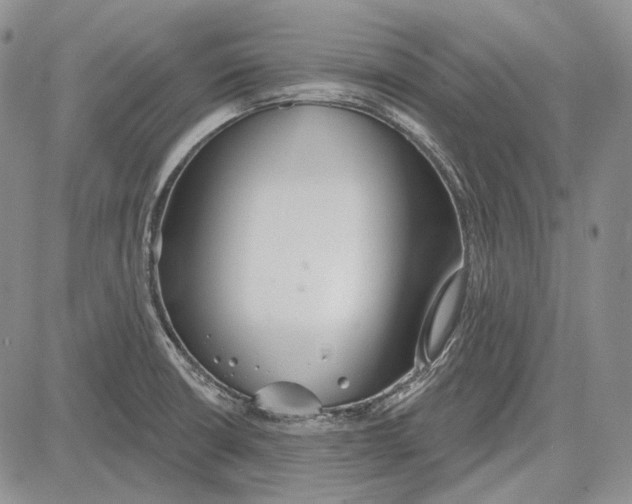 X0000081601426200702051318