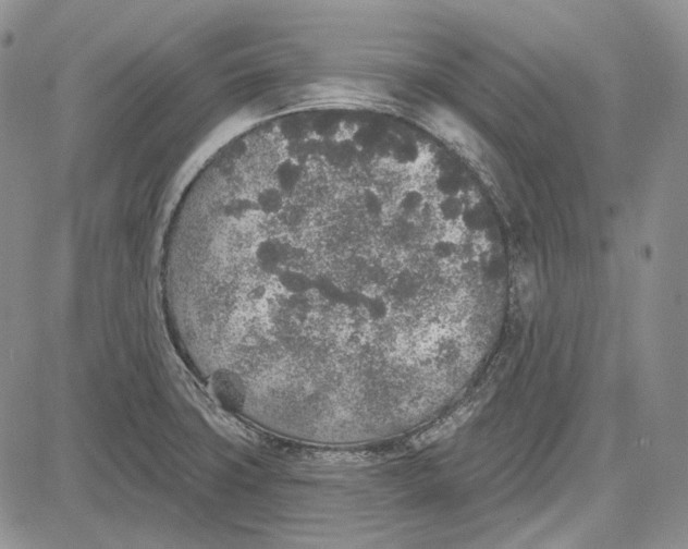 X0000081601427200702051318