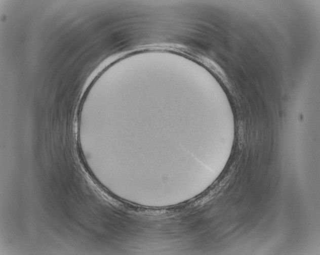 X0000081601428200702051318