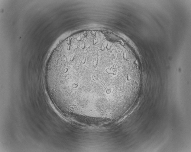 X0000081601429200702051318