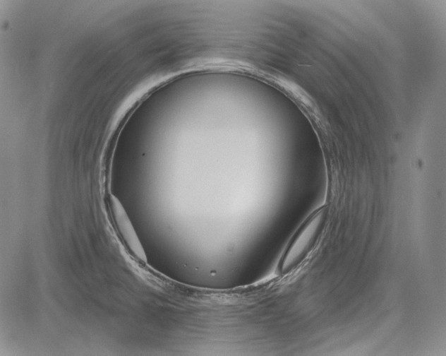 X0000081601430200702051318