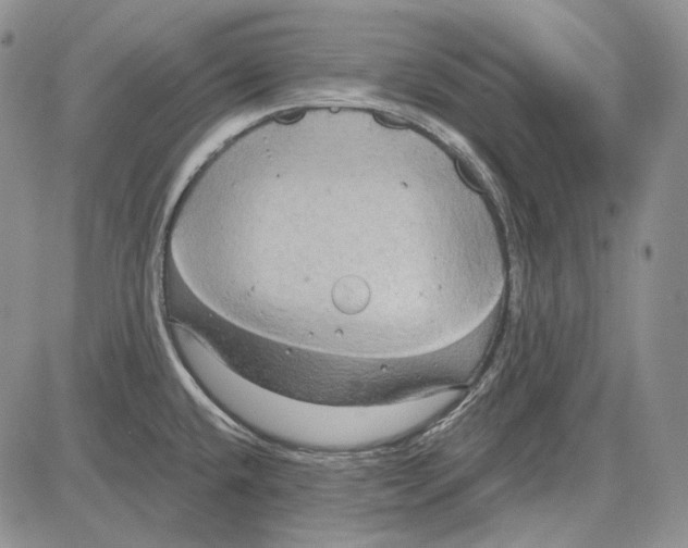 X0000081601432200702051318