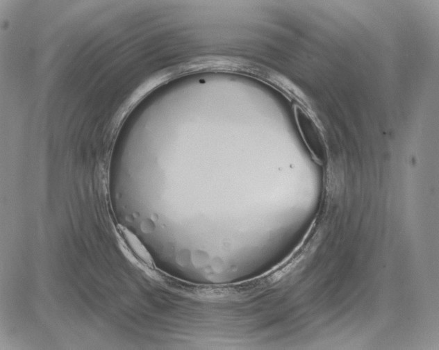 X0000081601433200702051318