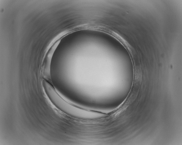 X0000081601434200702051318