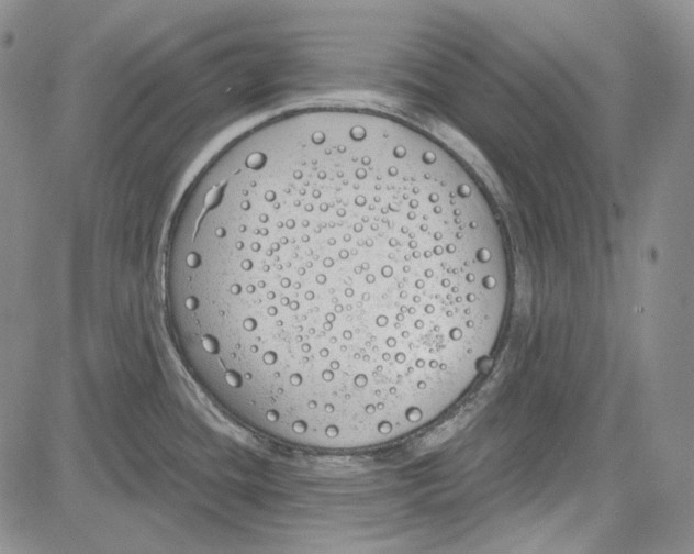 X0000081601436200702051318