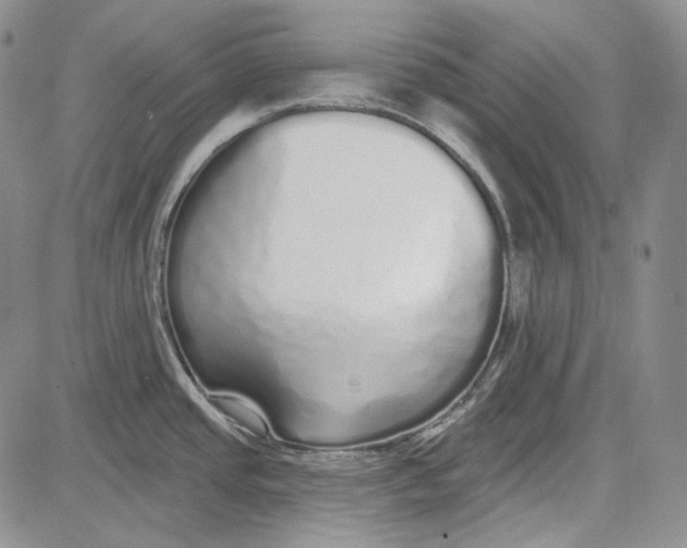 X0000081601437200702051318