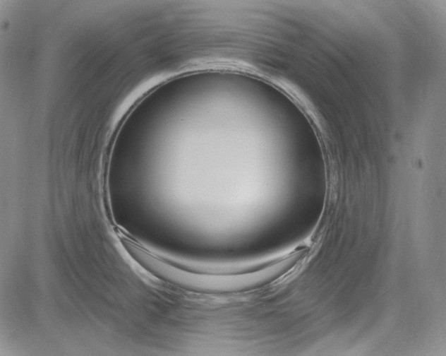 X0000081601438200702051318