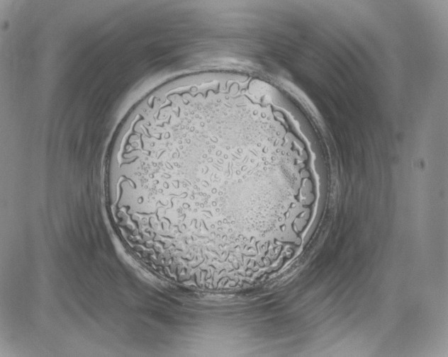 X0000081601439200702051318