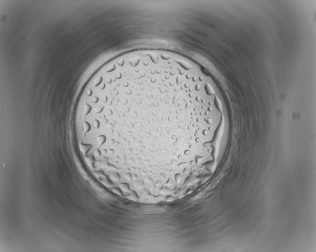 X0000081601440200702051318