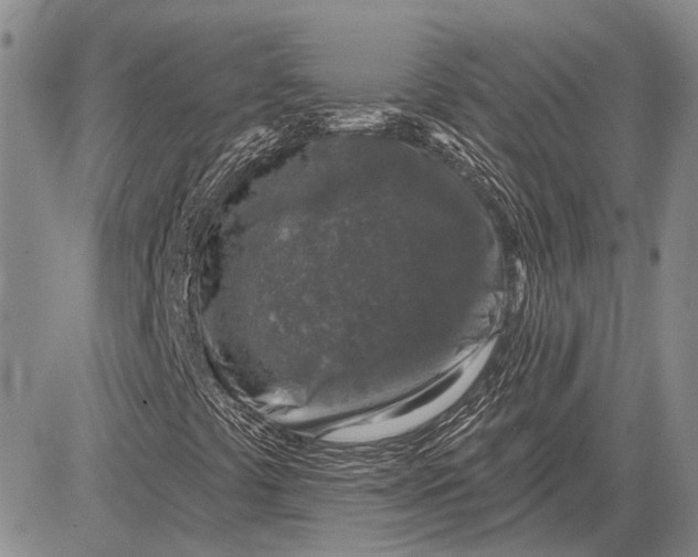 X0000081601441200702051317