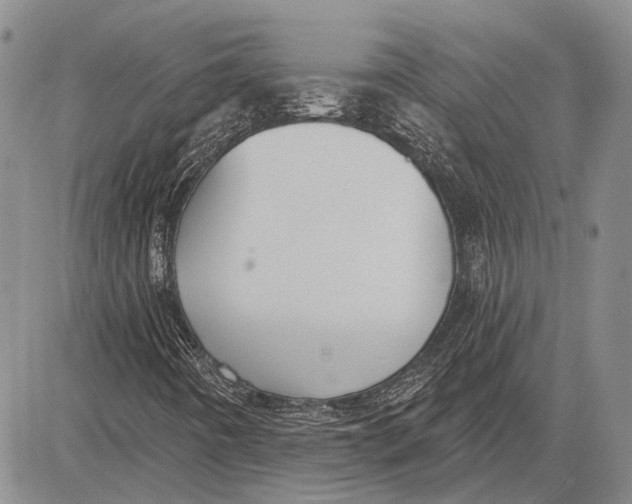 X0000081601442200702051317