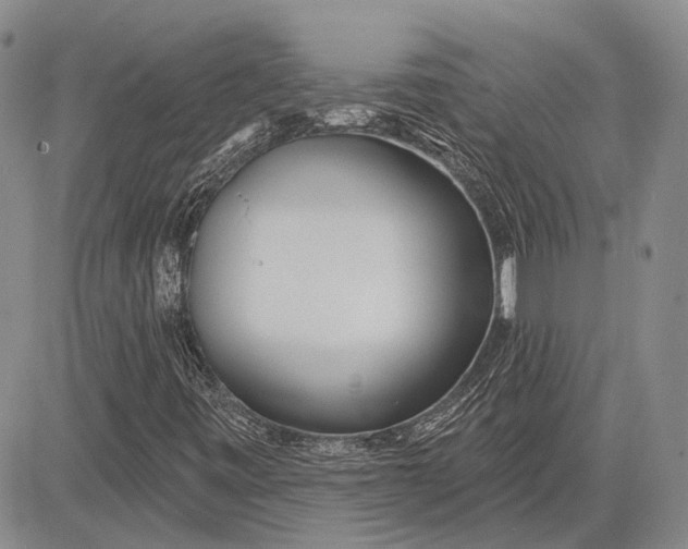 X0000081601443200702051317