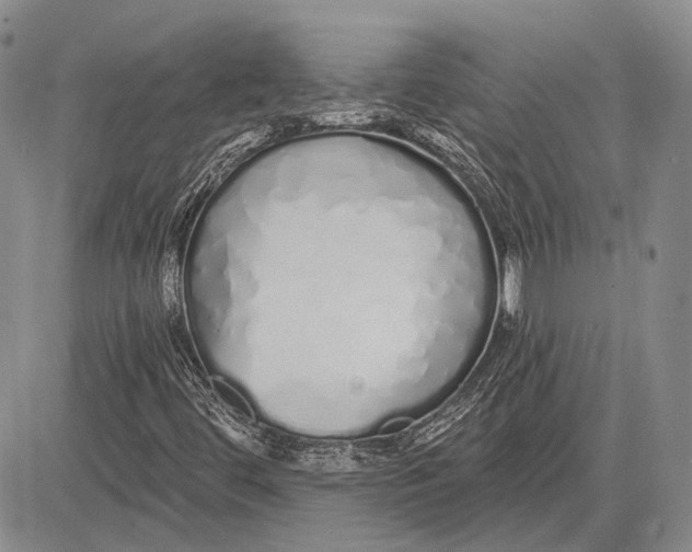 X0000081601444200702051317