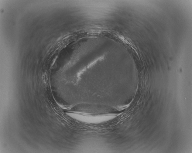 X0000081601445200702051317